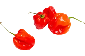 Madame jeanet pepers rood 100gr